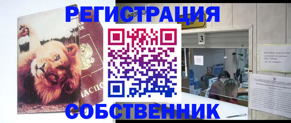 прописка поиск в Керчи